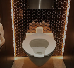 Why Do Some Toilet Seats Have an Open Front Design?