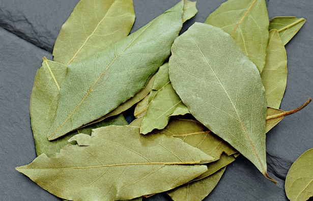 Bay Leaf for Skin Care: Traditional Uses and Benefits