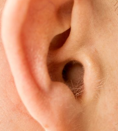 Does Ear Hair Mean Anything About Your Health? What You Should Know